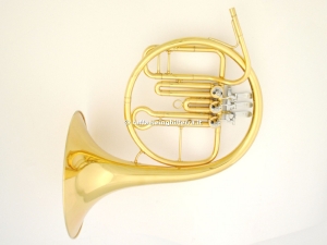 Anteprima